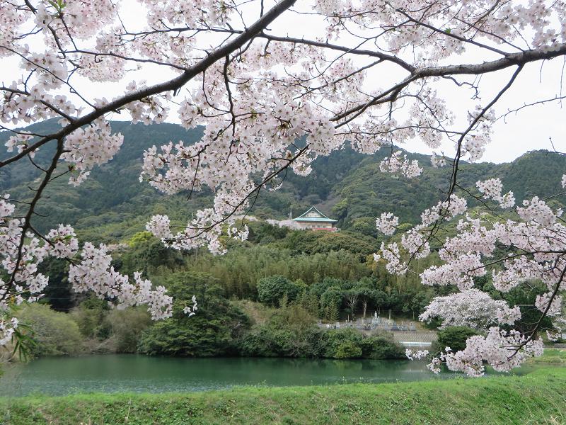 遠景1.jpg