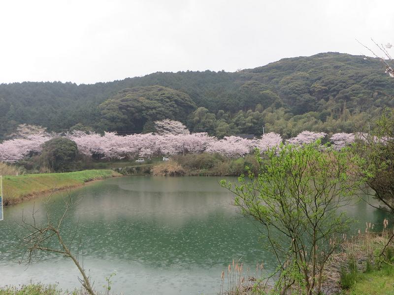 海蔵寺から.jpg