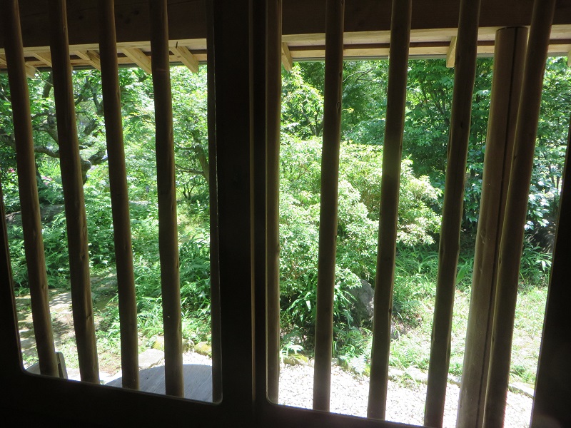 室内から庭.jpg