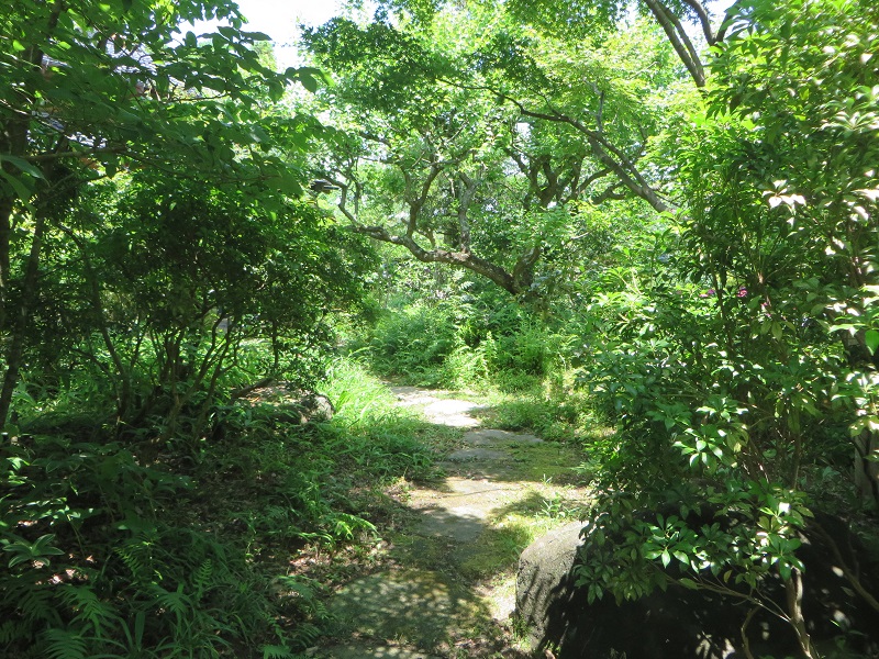 小道1.jpg