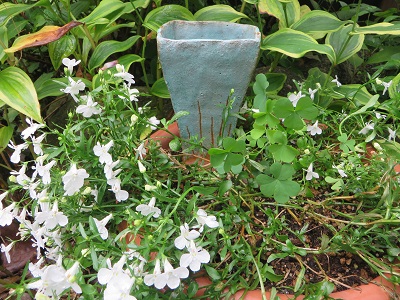 花田.jpg
