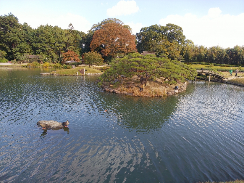 DSC_1665.JPG