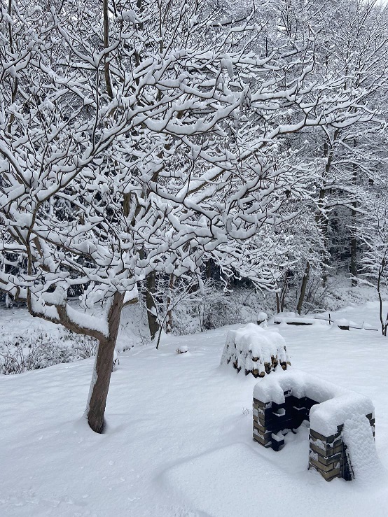 清里の雪.jpg