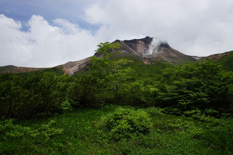 chausudake14.jpg