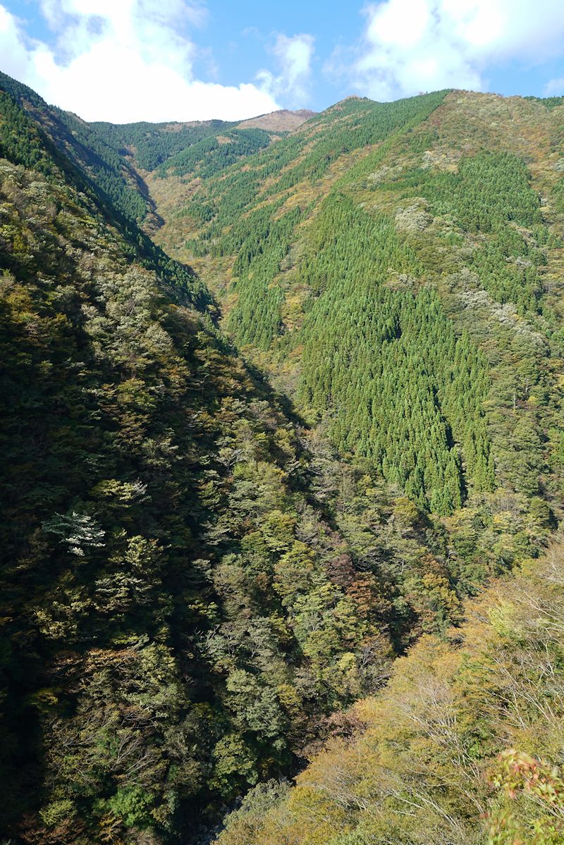 iya04.jpg