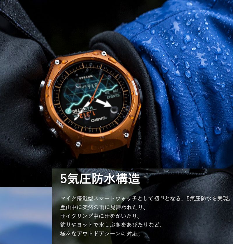 WSD-F10-06.jpg