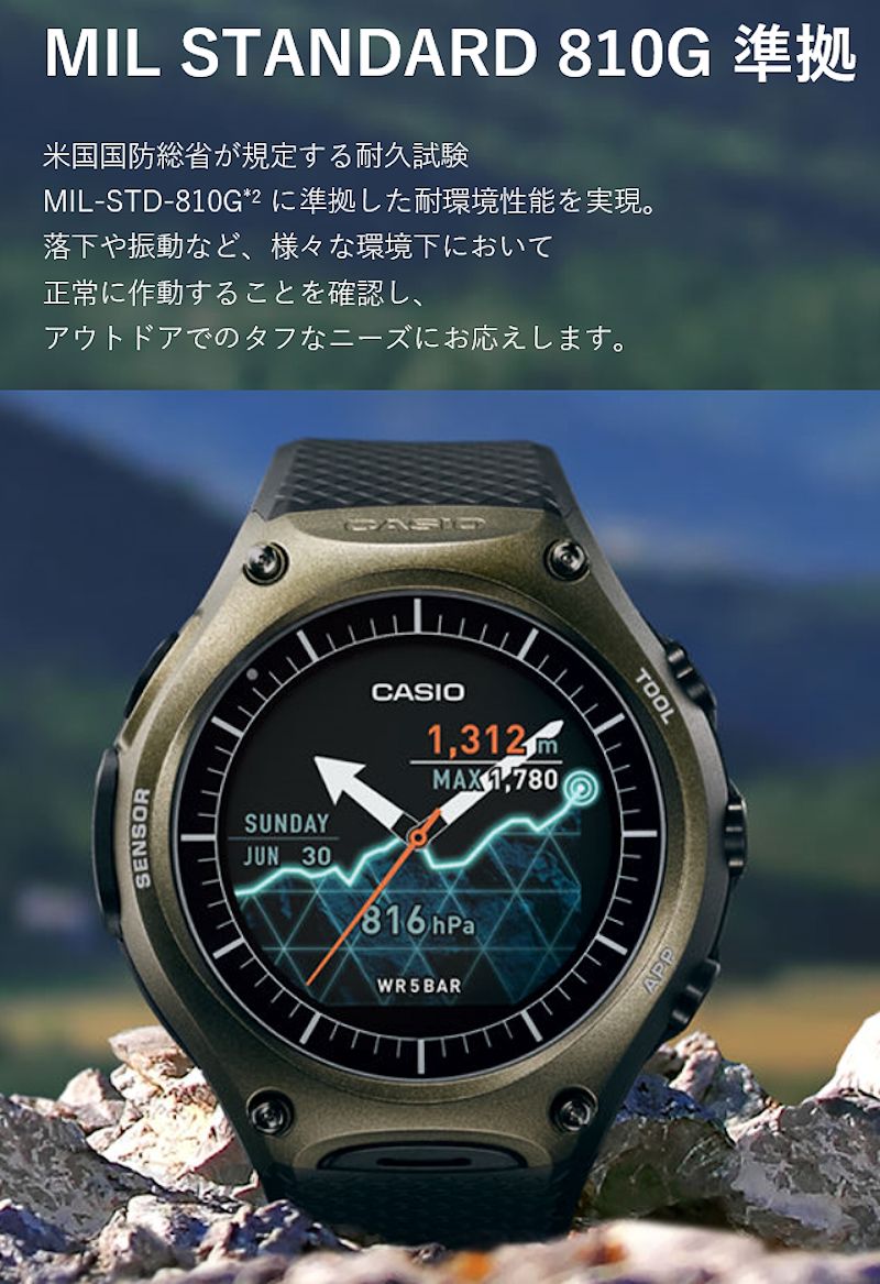 WSD-F10-07.jpg