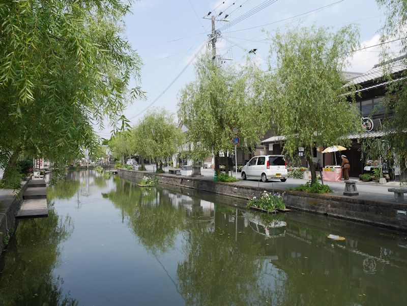 yanagawa01.jpg