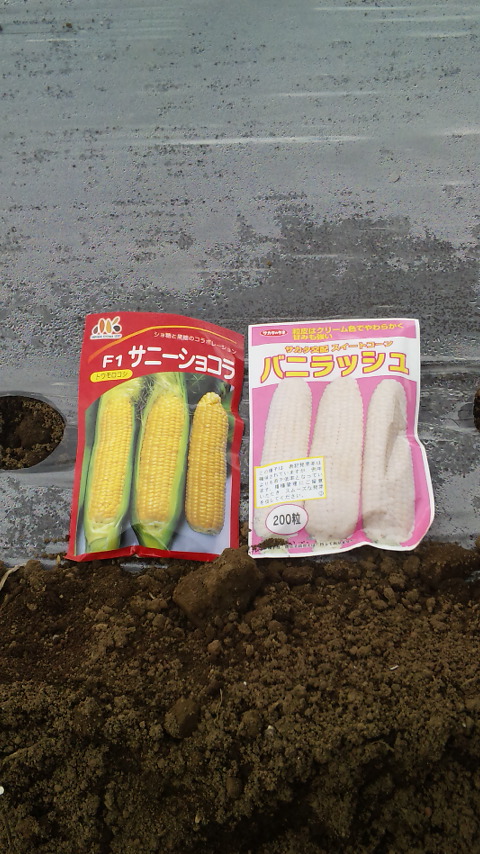 100514_114503.jpg