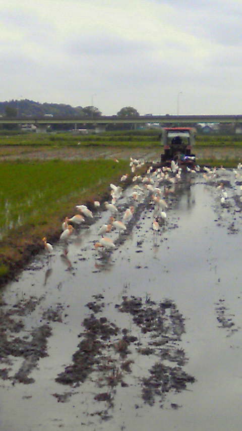 201005301026001.jpg
