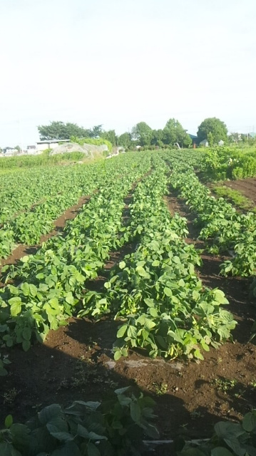 120620_060622.jpg