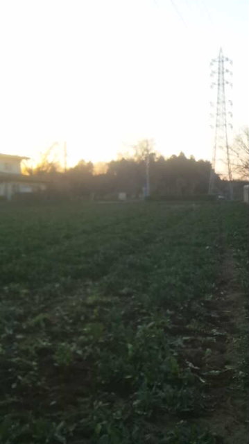 130315_172415.jpg