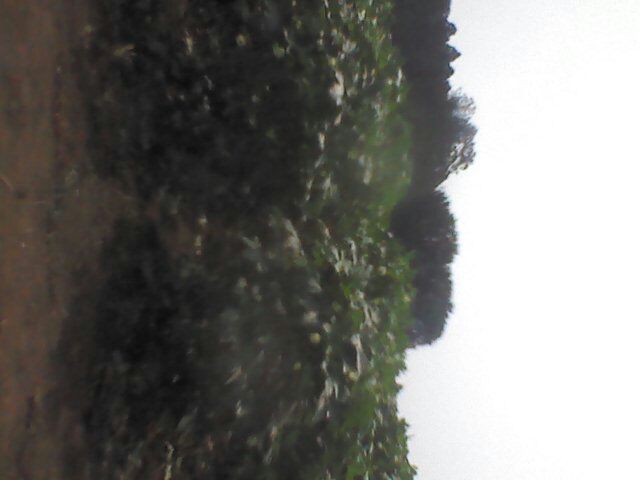 image_20130712111012.jpg