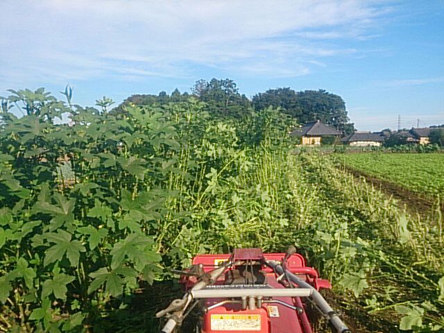 image_20130810213523.jpg