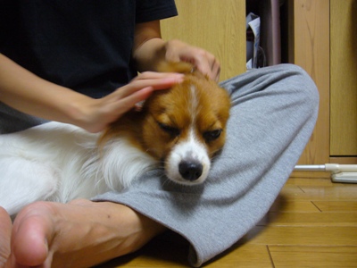 大好きな場所