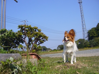 風強い