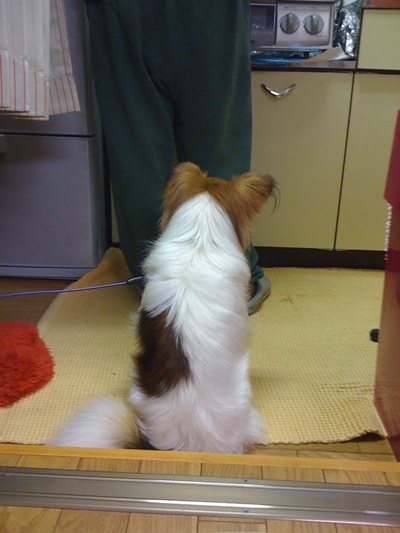 落ちてこんかなー。