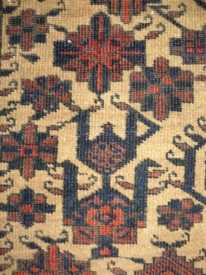 絨毯・キリムに使われる素材―シルク・ラクダ・山羊― | My Favorite 