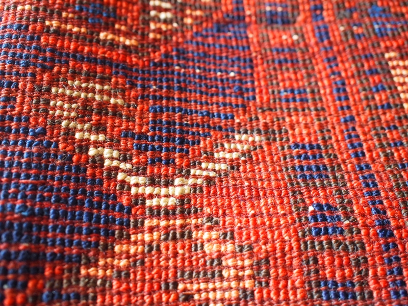 P4183192.JPG