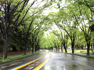 GW 公園