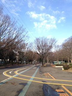 駒沢12月