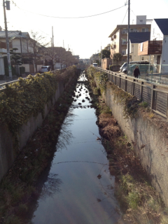 近所のコース