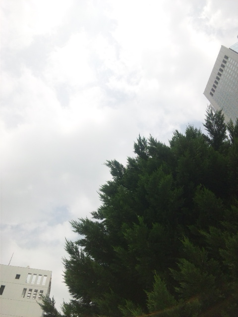 140626_124337.jpg