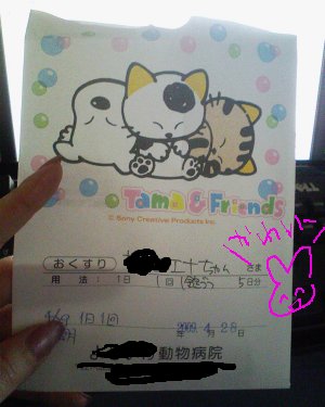 うちのタマ知りませんか