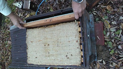 20150608_232562.jpg