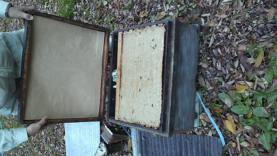20150608_232563.jpg