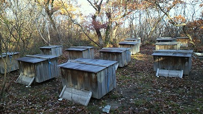 20150608_232567.jpg