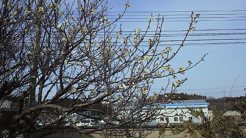20150608_232594.jpg