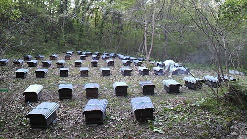 20150608_232607.jpg