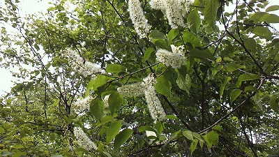 20150608_232610.jpg