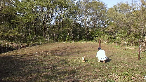 20150608_232612.jpg