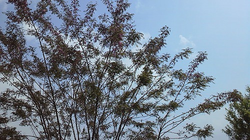20150608_232614.jpg