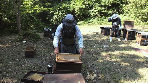 20150608_232616.jpg