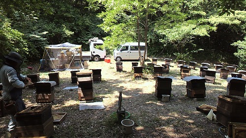 20150623_826928.jpg