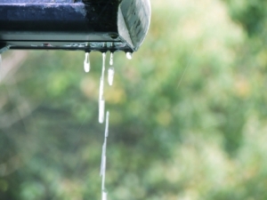 雨水