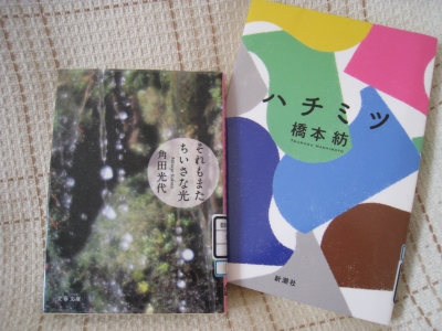 12年09月の記事 大好きなもの