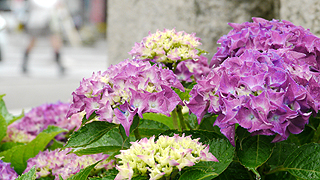 P1150141.jpg