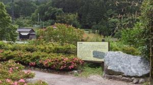 金持さつき