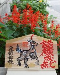 絵馬とサルビア