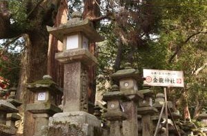 春日大社万灯篭
