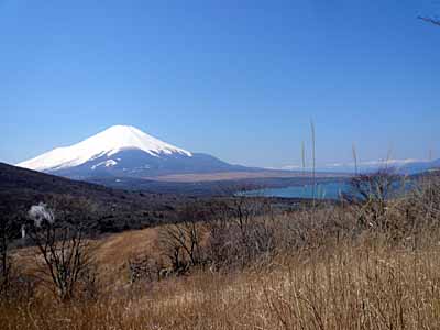 富士山と山中湖.jpg