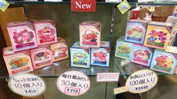 ハーブティー10個入り