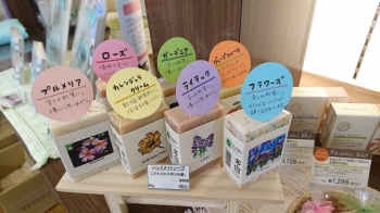 石鹸全種