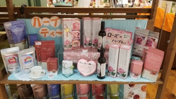 HT始めよう