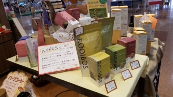 ルイボス什器