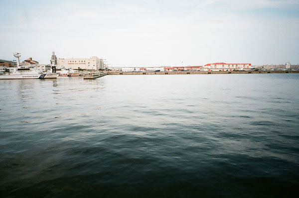 海